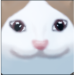 kat is the Kat