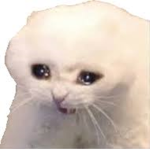 Fiishe