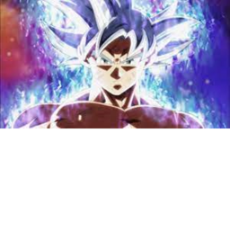 Fight Goku