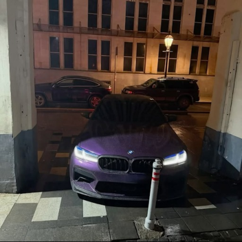 ballhog