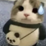 pogi!$