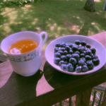 ~ blue x berries ~