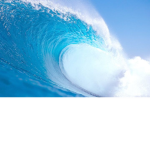 CIub Tsunami