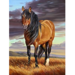 Western-Riders