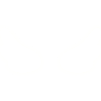 angel wings