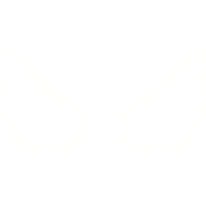 angel wings