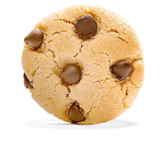 cookie squod