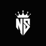 NS Clan Strucid Tournaments