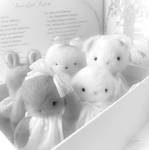 ⸝⸝ bunny ୨୧