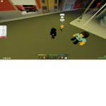 *.Dhc Market.*