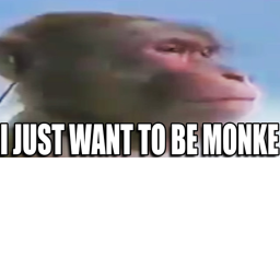 MONKE LAND!