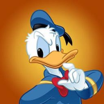 Grumpy Duck