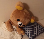 ‘sleepover