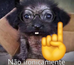 Calvície de cada dia