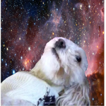 Intergalactic OTers