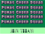 Pumas Cheer Squad