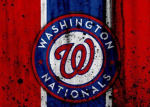 Fans of the Nationals