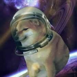 The Dog Developers
