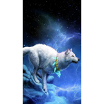Wolf pack is special for anyone