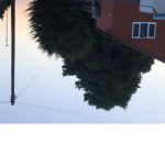 Outside zRobux