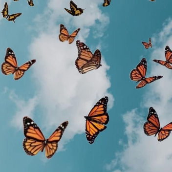 Have a Aesthetic Day!