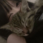 nekohime