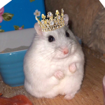 Rat Pack :D