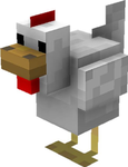 Chicken kicked