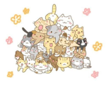 team cats :D