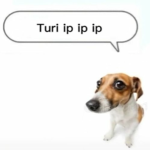 Turi Ip