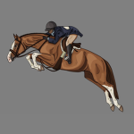 - All Around The Sound Equine -