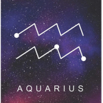 Aquarius Goverment