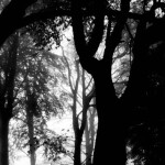 ˚ . ♡ ·˚ ୨୧