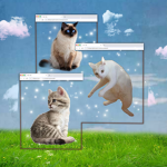 gatos y roblox