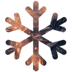 Winter LLC