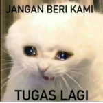 #MampuzzTeamm