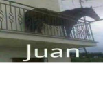 Juan bloodline