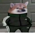 Chenysuspanas