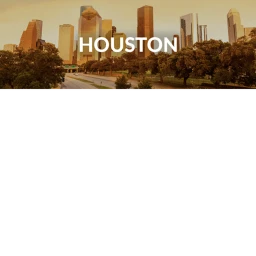 Downtown Houston [BETA] icon
