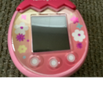Tamagotchi our cool group