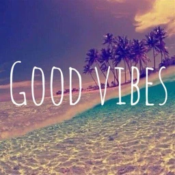 Vibe icon