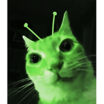 demisexual
