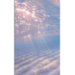 Isla’s Ocean
