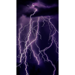 ThundersBeast