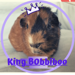 Bob Bee Boo
