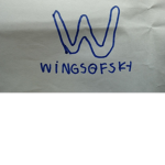 Wingsofsky Games Fans