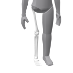 White Skeleton - Right Leg