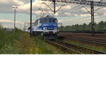 Widzowie RFWECa