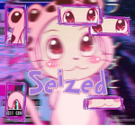 ʚ Se1zed ɞ