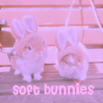 s0ft bunnies